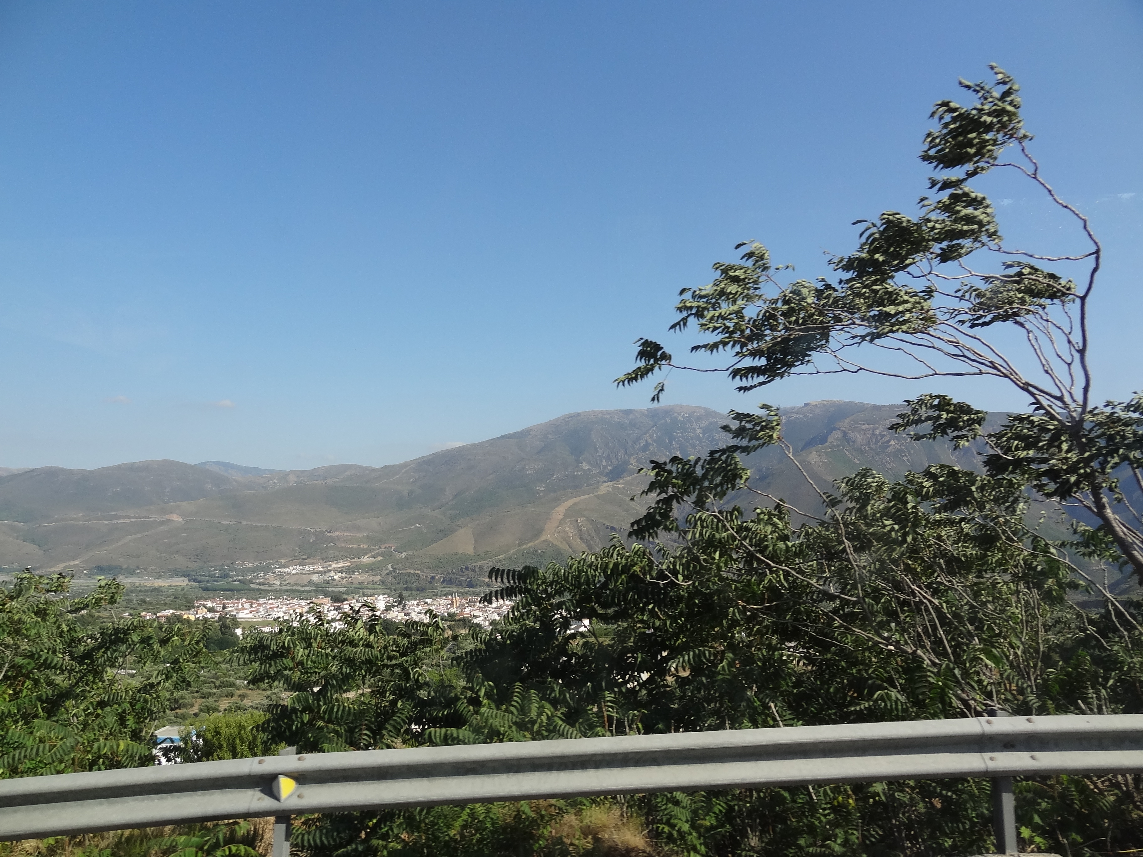 DSC00177