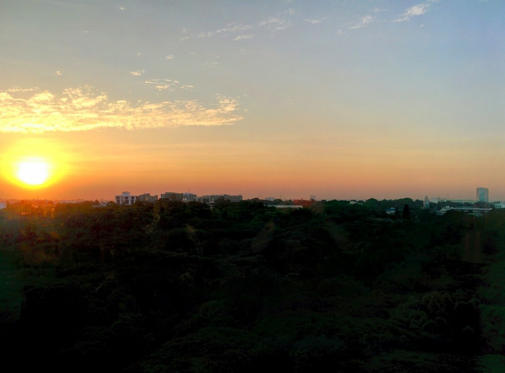 Sunset over the park