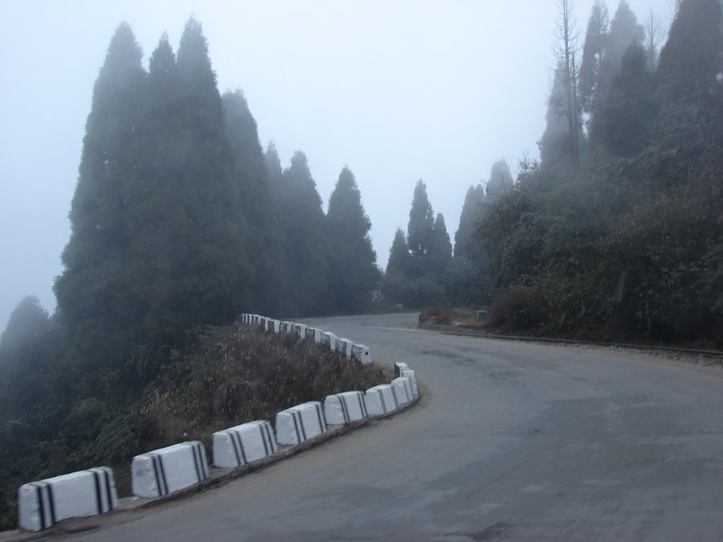 Darjeeling (2)