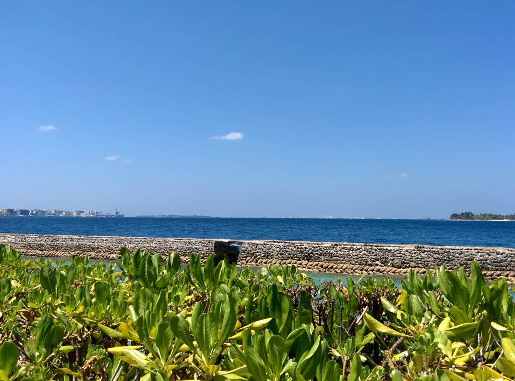 Maldives (20)